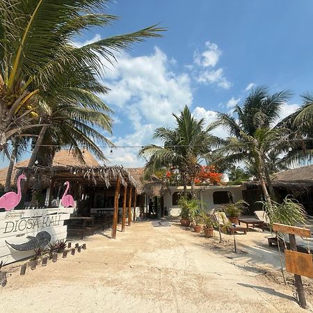 La Diosa Kali Beach Front Hotel Holbox Extérieur photo