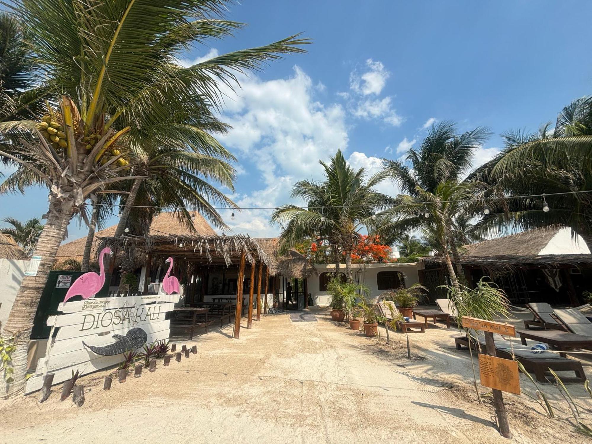 La Diosa Kali Beach Front Hotel Holbox Extérieur photo