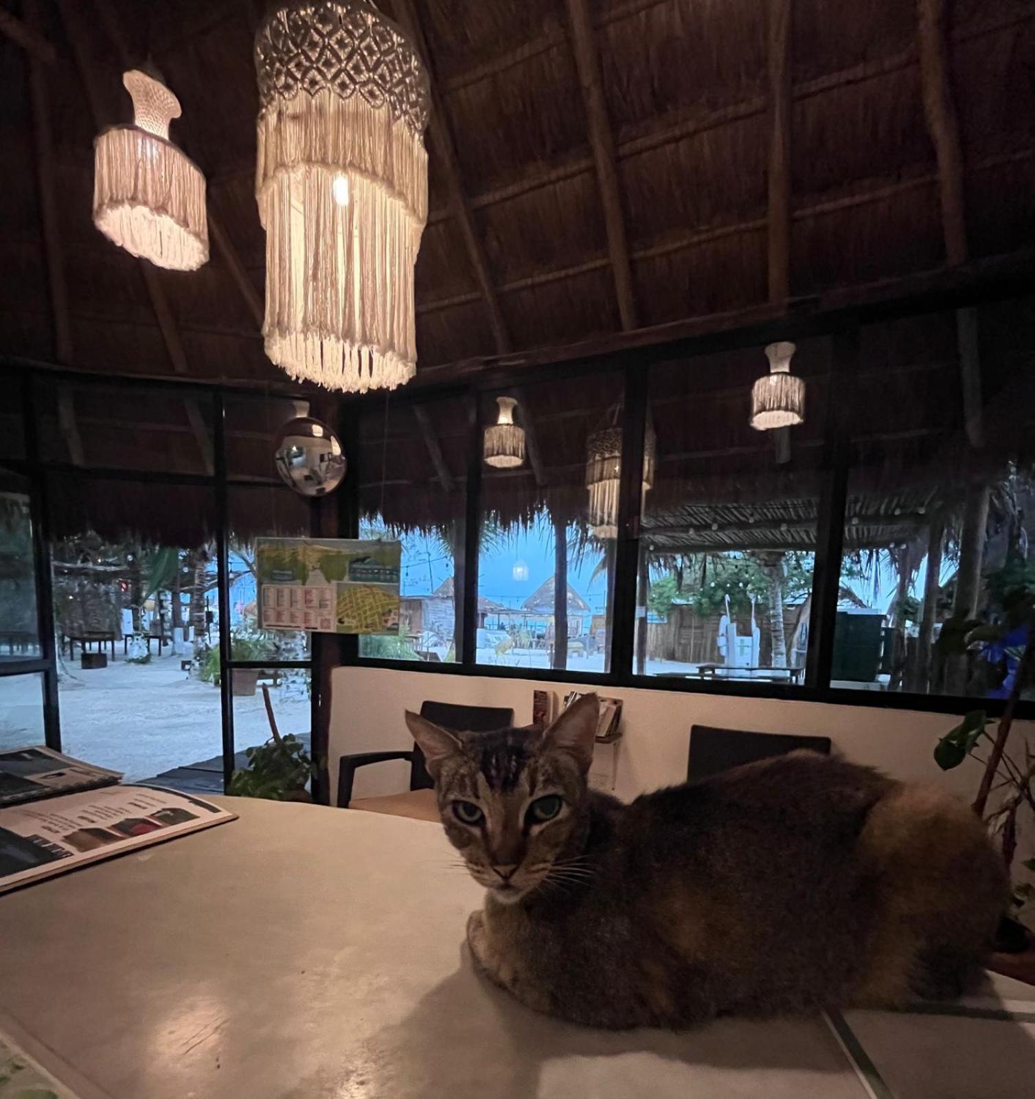 La Diosa Kali Beach Front Hotel Holbox Extérieur photo