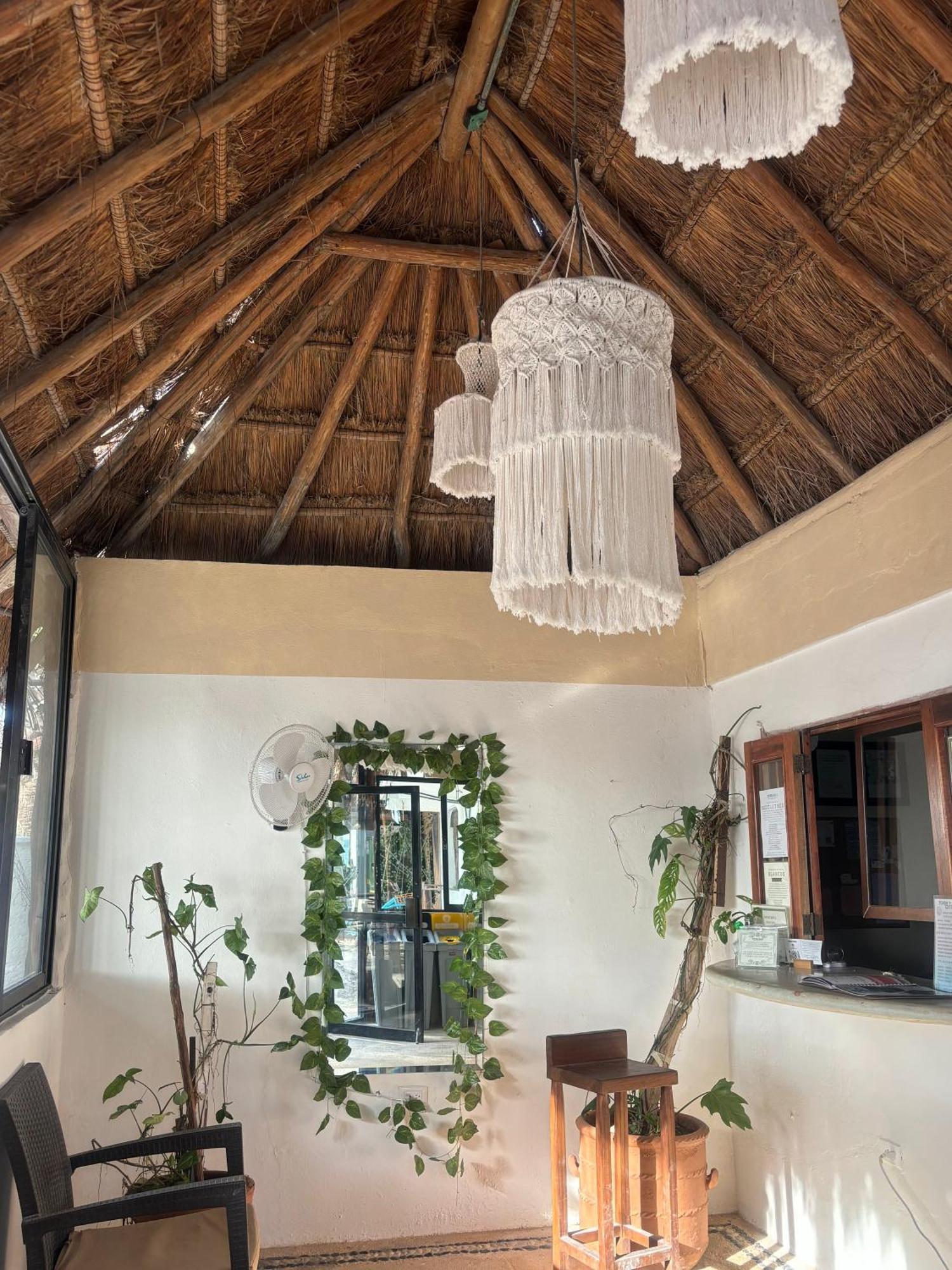 La Diosa Kali Beach Front Hotel Holbox Extérieur photo