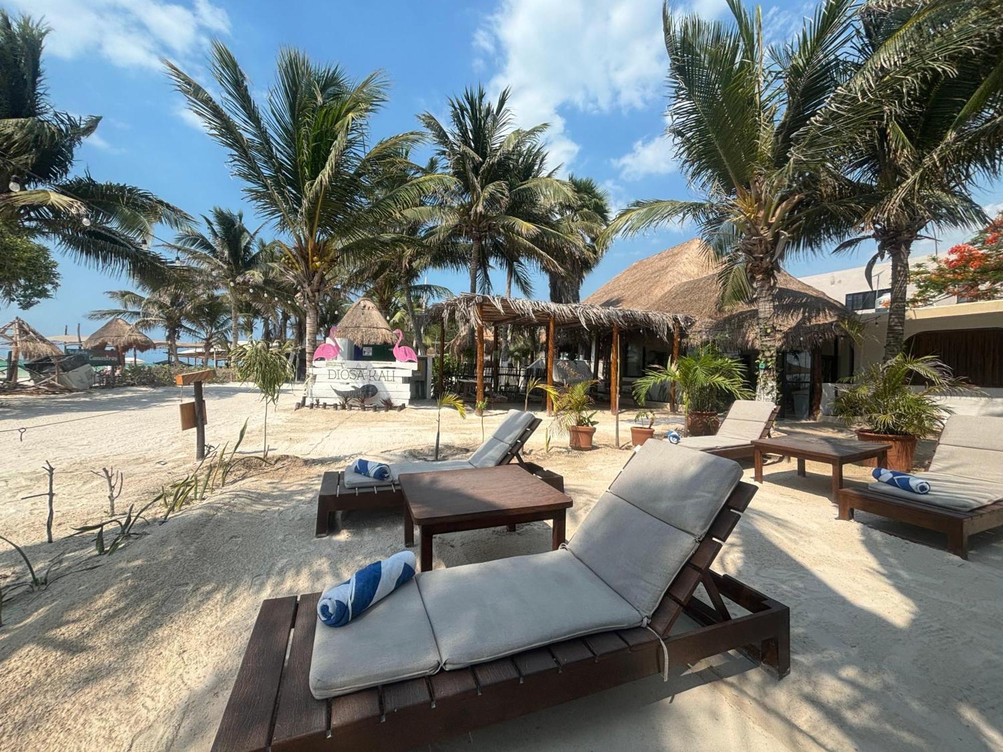 La Diosa Kali Beach Front Hotel Holbox Extérieur photo